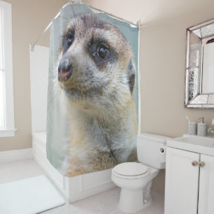 Shower Curtain Meerkat