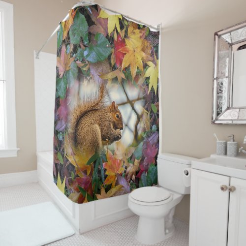 Shower Curtain Squirrel