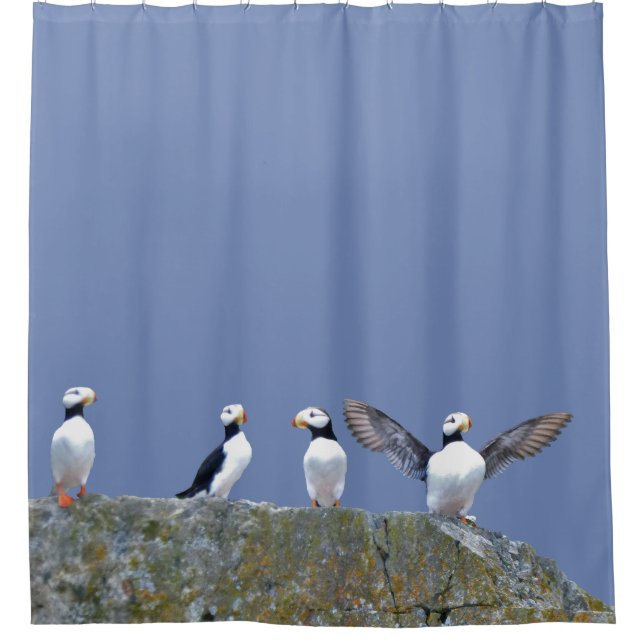 Shower curtain w/ puffins (Front)