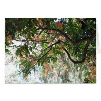 Shower Tree Cards