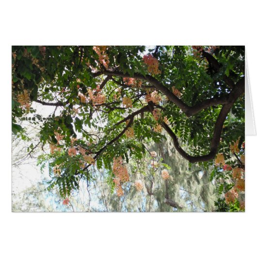 Shower Tree Cards (Front Horizontal)