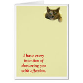 Shower with affection (Front)