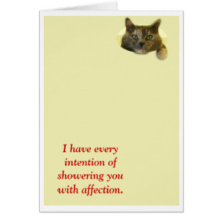 Shower with affection cards