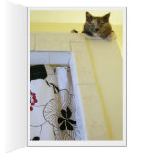 Shower with affection cards (Inside (Right))