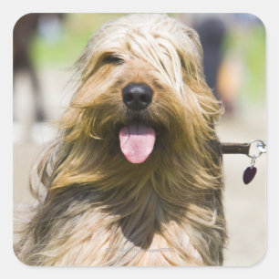 showing tongue, long hair, portrait square sticker