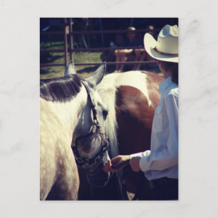 Showmanship at a Horse Show Postcard