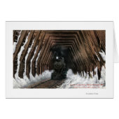 Showsheds Railroad (Front Horizontal)