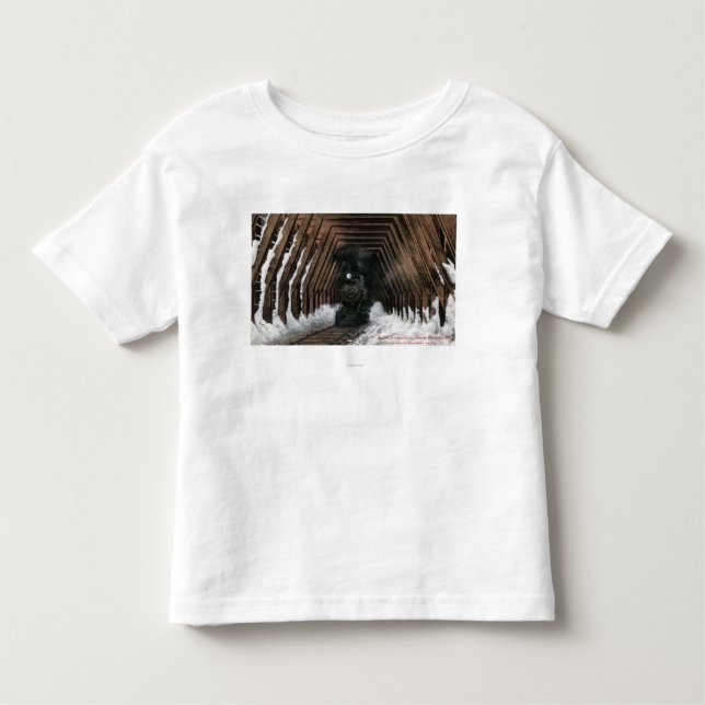 Showsheds Railroad Toddler T-shirt (Front)