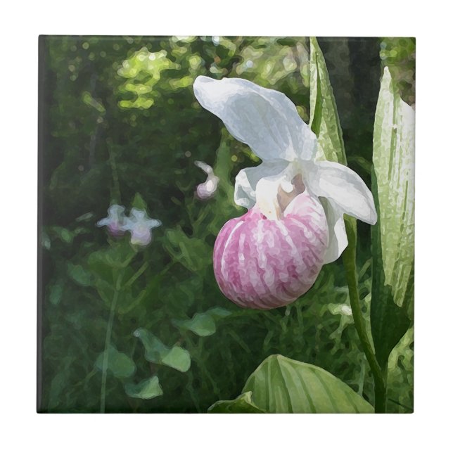 Showy Lady's Slipper Ceramic Tile (Front)