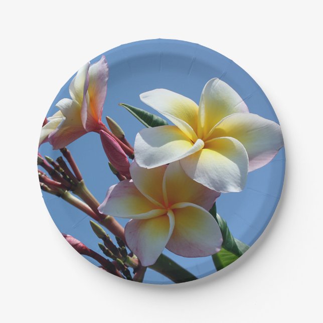 Showy Plumeria Frangipani Blooms Paper Plates (Front)