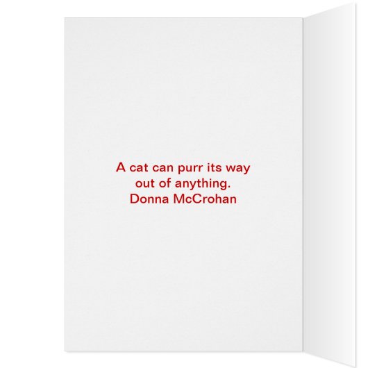 Shredded Teddy Bear (Inside (Left))