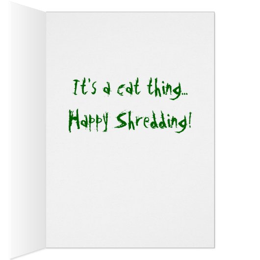 Shredded Teddy Bear (Inside (Right))