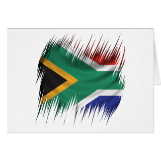 Shredders South Africa Flag Cards