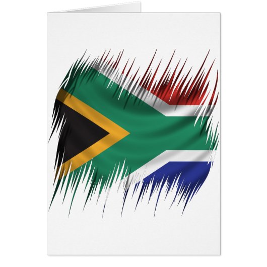 Shredders South Africa Flag Cards (Front)