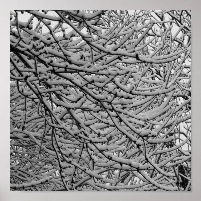 Shreveport Snowfall Poster (Front)