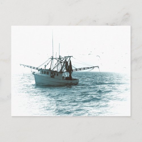 Shrimp Boat Postcard