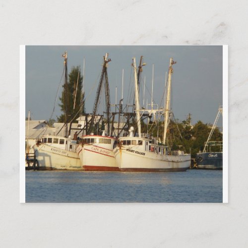 Shrimp Boats x three Postcard