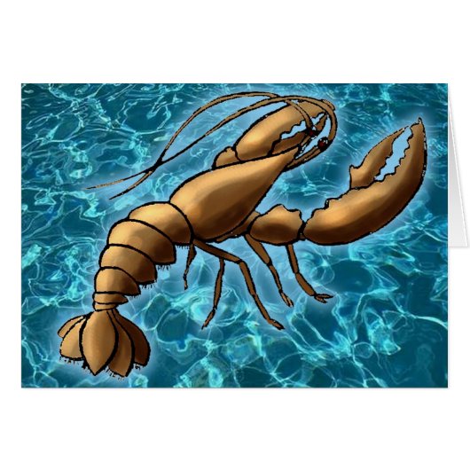 Shrimp Cards (Front Horizontal)