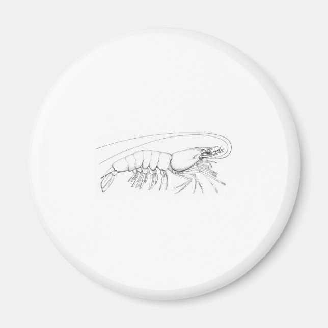 Shrimp Magnet (Front)