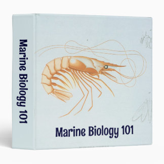 Shrimp or Prawn, Vintage Marine Life Ocean Animals Binder