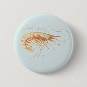 Shrimp or Prawn, Vintage Marine Life Ocean Animals Button
