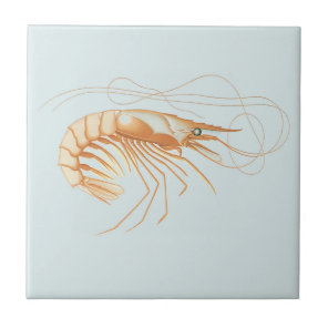 Shrimp or Prawn, Vintage Marine Life Ocean Animals Ceramic Tile