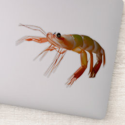 Shrimp small guy tough strong sticker