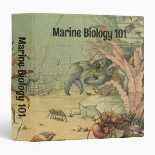 Shrimp, Underwater Sea Life, Vintage Ocean Animals 3 Ring Binder