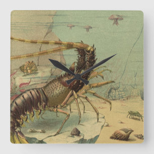 Shrimp, Underwater Sea Life, Vintage Ocean Animals Square Wall Clock