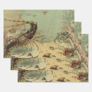 Shrimp, Underwater Sea Life, Vintage Ocean Animals Wrapping Paper Sheets