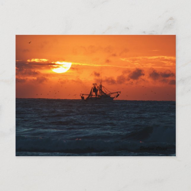 Shrimper Postcard (Front)