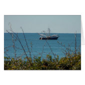 Shrimp'n (Front Horizontal)