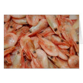 shrimps (Front Horizontal)