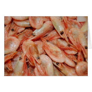 shrimps