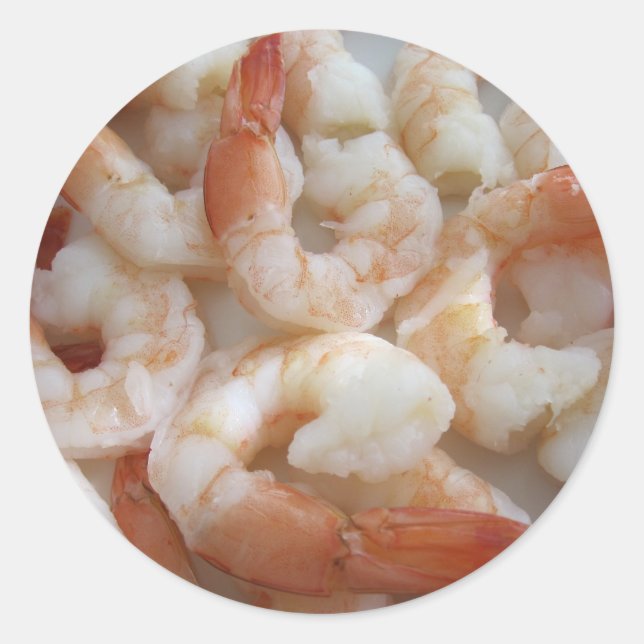 Shrimpy Sticker (Front)