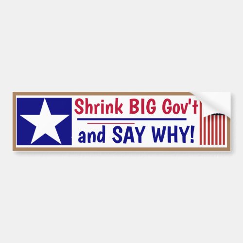 Shrink Big Govt and SAY WHY Bumper Sticker