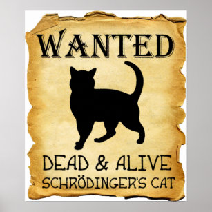 Shrodinger's Cat Funny Poster