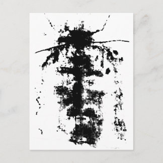 Shroud of Turin Postcard