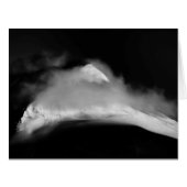 Shrouded Baird Peak (Front Horizontal)