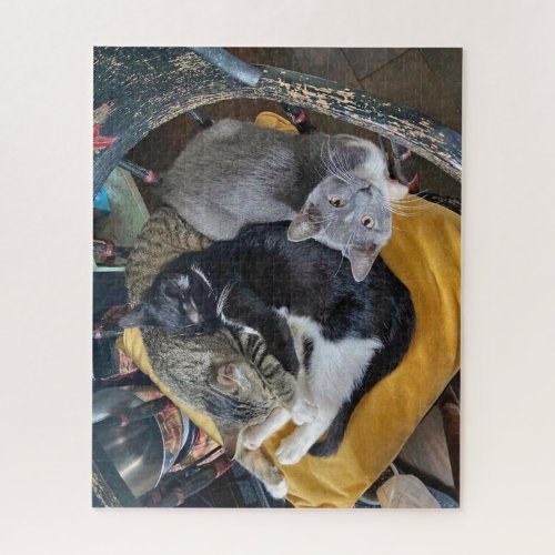 Shush Nap Time Kittens Jigsaw Puzzle