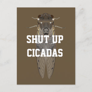Shut Up Cicadas Postcard