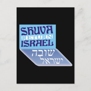 Shuva Israel Postcard