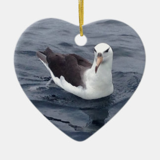 Shy Albatross Ceramic Ornament