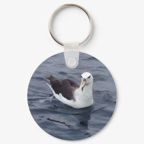 Shy Albatross Keychain