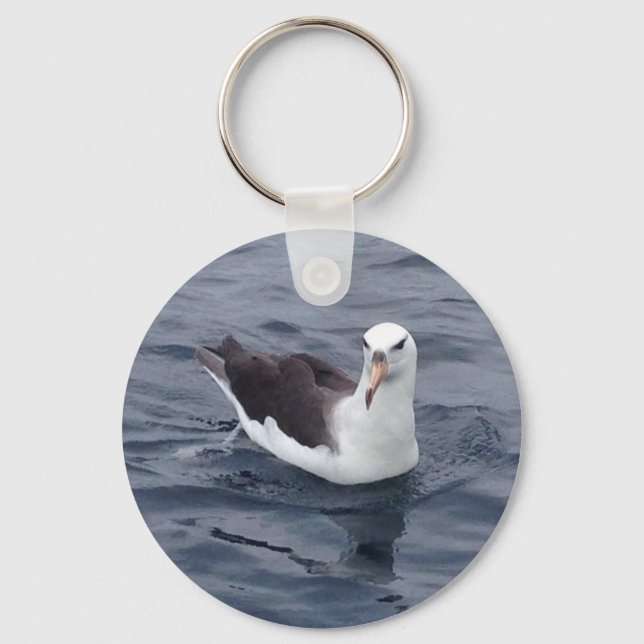 Shy Albatross Keychain (Front)