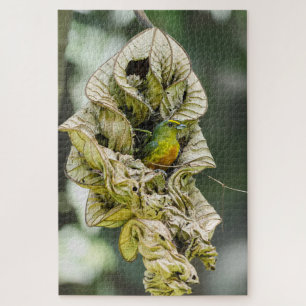 Shy Bird, Olive Euphonia Jigsaw Puzzle