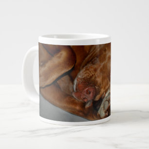 Shy Chocolate Lab Pit Mix Dog Giant Coffee Mug