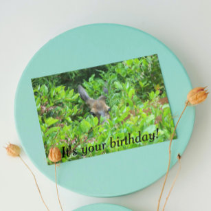 Shy Deer Funny Birthday Card