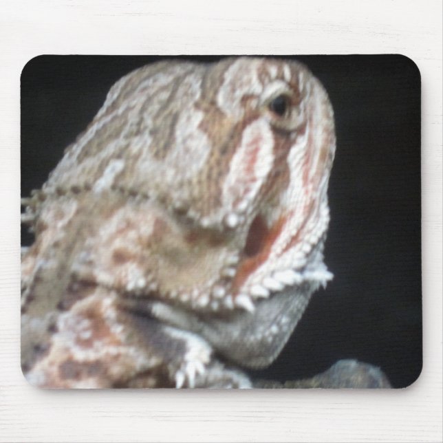 Shy Dragon Mouse Pad (Front)
