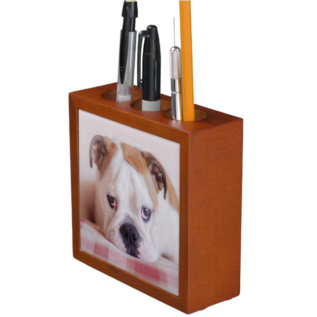 Shy English Bulldog Puppy Pencil/Pen Holder (In Situ)